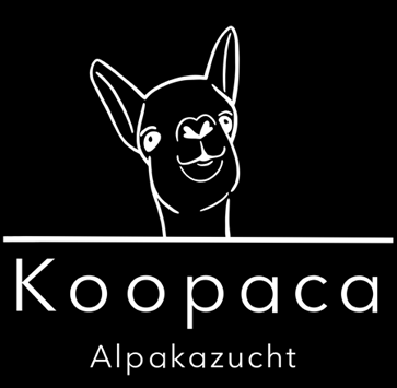 KOOPACE_LOGO